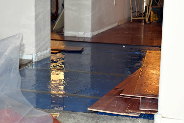 Professional Sewage Cleanup technician working in Wayne, OK